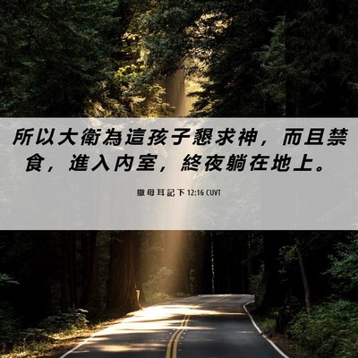 Picture 06 - 撒 母 耳 記 下 12:16 CUVT - 所 以 大 衛 為 這 孩 子 懇 求 神 ， - Bible Verse Picture