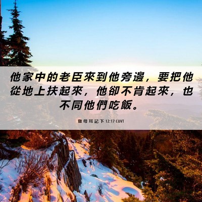 Picture 06 - 撒 母 耳 記 下 12:17 CUVT - 他 家 中 的 老 臣 來 到 他 旁 邊 ， - Bible Verse Picture