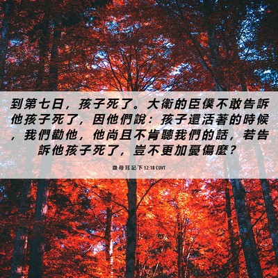 Picture 06 - 撒 母 耳 記 下 12:18 CUVT - 到 第 七 日 ， 孩 子 死 了 。 大 衛 - Bible Verse Picture