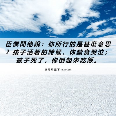 Picture 06 - 撒 母 耳 記 下 12:21 CUVT - 臣 僕 問 他 說 ： 你 所 行 的 是 甚 - Bible Verse Picture