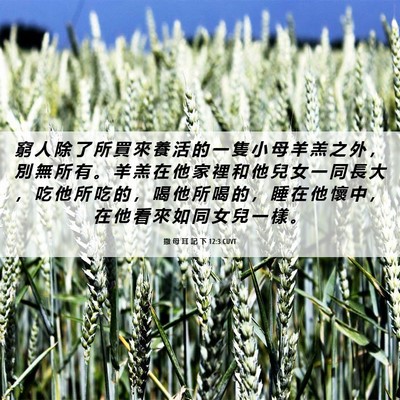 Picture 06 - 撒 母 耳 記 下 12:3 CUVT - 窮 人 除 了 所 買 來 養 活 的 一 隻 - Bible Verse Picture