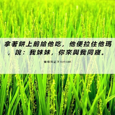 Picture 06 - 撒 母 耳 記 下 13:11 CUVT - 拿 著 餅 上 前 給 他 吃 ， 他 便 拉 - Bible Verse Picture