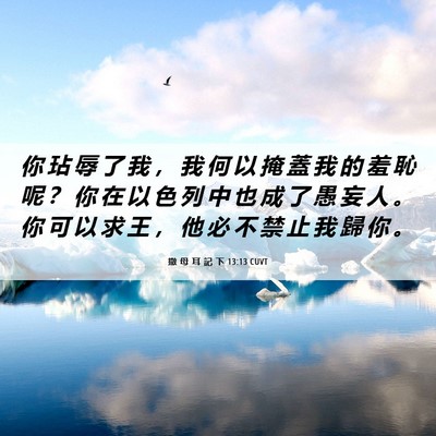 Picture 06 - 撒 母 耳 記 下 13:13 CUVT - 你 玷 辱 了 我 ， 我 何 以 掩 蓋 我 - Bible Verse Picture