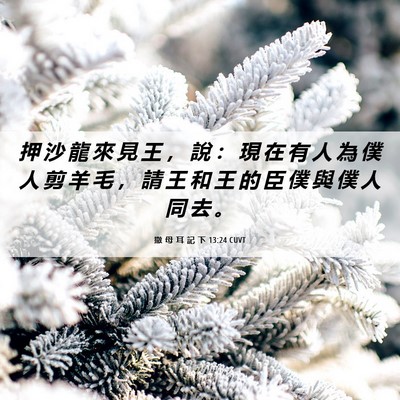 Picture 06 - 撒 母 耳 記 下 13:24 CUVT - 押 沙 龍 來 見 王 ， 說 ： 現 在 有 - Bible Verse Picture