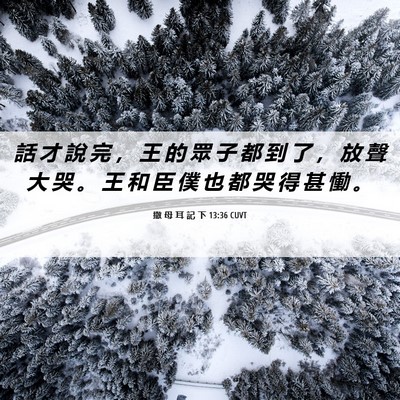 Picture 06 - 撒 母 耳 記 下 13:36 CUVT - 話 才 說 完 ， 王 的 眾 子 都 到 了 - Bible Verse Picture