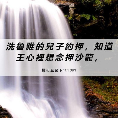 Picture 06 - 撒 母 耳 記 下 14:1 CUVT - 洗 魯 雅 的 兒 子 約 押 ， 知 道 王 - Bible Verse Picture