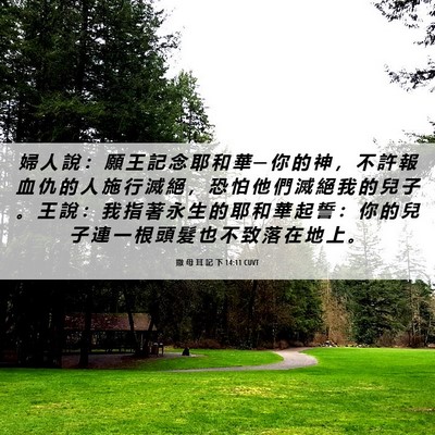 Picture 06 - 撒 母 耳 記 下 14:11 CUVT - 婦 人 說 ： 願 王 記 念 耶 和 華 ─ - Bible Verse Picture