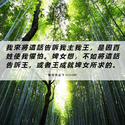 Picture 06 - 撒 母 耳 記 下 14:15 CUVT - 我 來 將 這 話 告 訴 我 主 我 王 ， - Bible Verse Picture