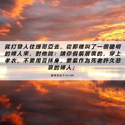 Picture 06 - 撒 母 耳 記 下 14:2 CUVT - 就 打 發 人 往 提 哥 亞 去 ， 從 那 - Bible Verse Picture
