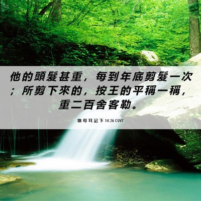 Picture 06 - 撒 母 耳 記 下 14:26 CUVT - 他 的 頭 髮 甚 重 ， 每 到 年 底 剪 - Bible Verse Picture