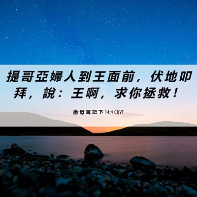 Picture 06 - 撒 母 耳 記 下 14:4 CUVT - 提 哥 亞 婦 人 到 王 面 前 ， 伏 地 - Bible Verse Picture