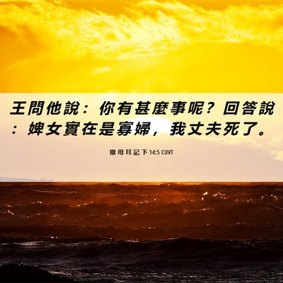 Picture 06 - 撒 母 耳 記 下 14:5 CUVT - 王 問 他 說 ： 你 有 甚 麼 事 呢 ？ - Bible Verse Picture