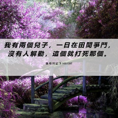 Picture 06 - 撒 母 耳 記 下 14:6 CUVT - 我 有 兩 個 兒 子 ， 一 日 在 田 間 - Bible Verse Picture