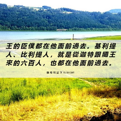 Picture 06 - 撒 母 耳 記 下 15:18 CUVT - 王 的 臣 僕 都 在 他 面 前 過 去 。 - Bible Verse Picture