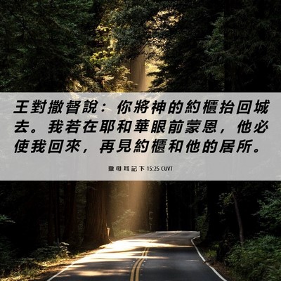Picture 06 - 撒 母 耳 記 下 15:25 CUVT - 王 對 撒 督 說 ： 你 將 神 的 約 櫃 - Bible Verse Picture