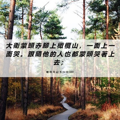 Picture 06 - 撒 母 耳 記 下 15:30 CUVT - 大 衛 蒙 頭 赤 腳 上 橄 欖 山 ， 一 - Bible Verse Picture