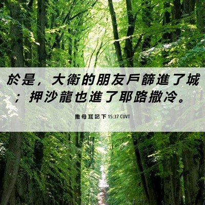Picture 06 - 撒 母 耳 記 下 15:37 CUVT - 於 是 ， 大 衛 的 朋 友 戶 篩 進 了 - Bible Verse Picture