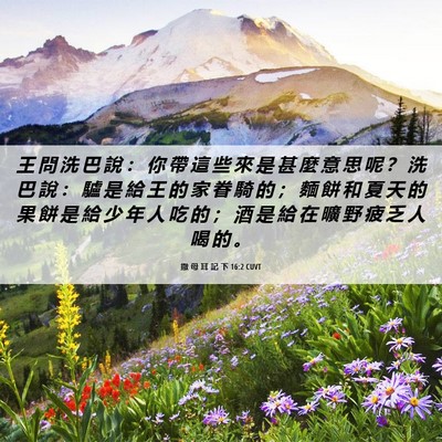 Picture 06 - 撒 母 耳 記 下 16:2 CUVT - 王 問 洗 巴 說 ： 你 帶 這 些 來 是 - Bible Verse Picture