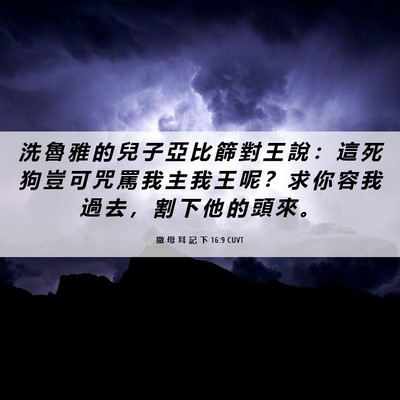 Picture 06 - 撒 母 耳 記 下 16:9 CUVT - 洗 魯 雅 的 兒 子 亞 比 篩 對 王 說 - Bible Verse Picture