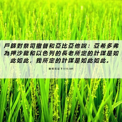 Picture 06 - 撒 母 耳 記 下 17:15 CUVT - 戶 篩 對 祭 司 撒 督 和 亞 比 亞 他 - Bible Verse Picture