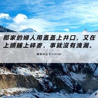 Picture 06 - 撒 母 耳 記 下 17:19 CUVT - 那 家 的 婦 人 用 蓋 蓋 上 井 口 ， - Bible Verse Picture