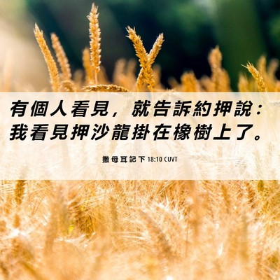 Picture 06 - 撒 母 耳 記 下 18:10 CUVT - 有 個 人 看 見 ， 就 告 訴 約 押 說 - Bible Verse Picture