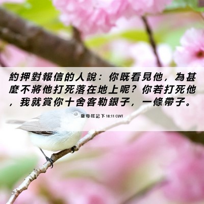 Picture 06 - 撒 母 耳 記 下 18:11 CUVT - 約 押 對 報 信 的 人 說 ： 你 既 看 - Bible Verse Picture