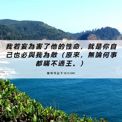 Picture 06 - 撒 母 耳 記 下 18:13 CUVT - 我 若 妄 為 害 了 他 的 性 命 ， 就 - Bible Verse Picture
