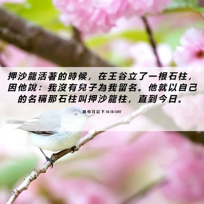 Picture 06 - 撒 母 耳 記 下 18:18 CUVT - 押 沙 龍 活 著 的 時 候 ， 在 王 谷 - Bible Verse Picture