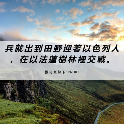 Picture 06 - 撒 母 耳 記 下 18:6 CUVT - 兵 就 出 到 田 野 迎 著 以 色 列 人 - Bible Verse Picture