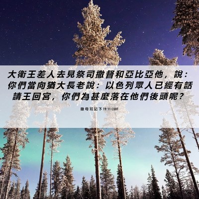 Picture 06 - 撒 母 耳 記 下 19:11 CUVT - 大 衛 王 差 人 去 見 祭 司 撒 督 和 - Bible Verse Picture