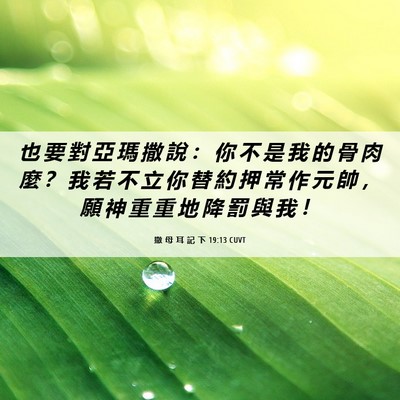 Picture 06 - 撒 母 耳 記 下 19:13 CUVT - 也 要 對 亞 瑪 撒 說 ： 你 不 是 我 - Bible Verse Picture
