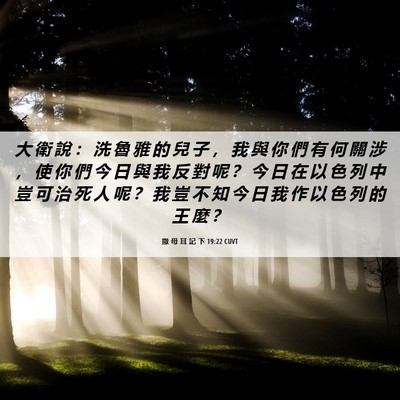 Picture 06 - 撒 母 耳 記 下 19:22 CUVT - 大 衛 說 ： 洗 魯 雅 的 兒 子 ， 我 - Bible Verse Picture