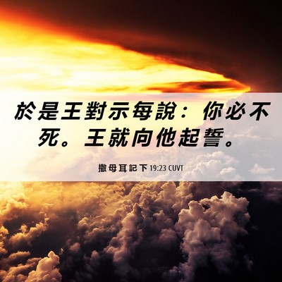 Picture 06 - 撒 母 耳 記 下 19:23 CUVT - 於 是 王 對 示 每 說 ： 你 必 不 死 - Bible Verse Picture