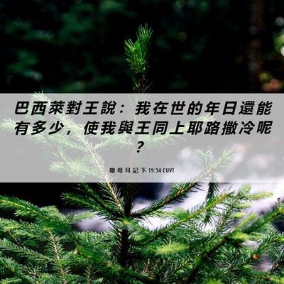 Picture 06 - 撒 母 耳 記 下 19:34 CUVT - 巴 西 萊 對 王 說 ： 我 在 世 的 年 - Bible Verse Picture