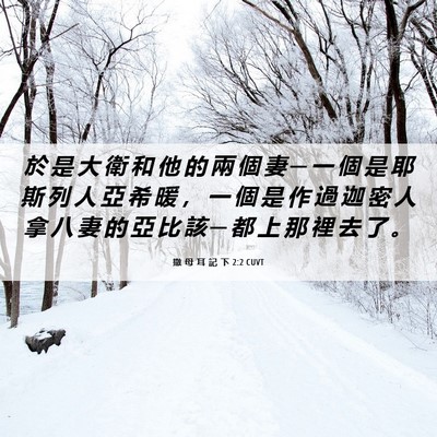 Picture 06 - 撒 母 耳 記 下 2:2 CUVT - 於 是 大 衛 和 他 的 兩 個 妻 ─ 一 - Bible Verse Picture