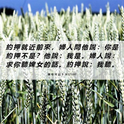 Picture 06 - 撒 母 耳 記 下 20:17 CUVT - 約 押 就 近 前 來 ， 婦 人 問 他 說 - Bible Verse Picture