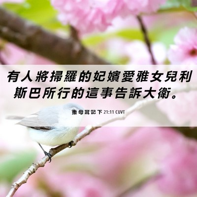 Picture 06 - 撒 母 耳 記 下 21:11 CUVT - 有 人 將 掃 羅 的 妃 嬪 愛 雅 女 兒 - Bible Verse Picture