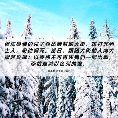 Picture 06 - 撒 母 耳 記 下 21:17 CUVT - 但 洗 魯 雅 的 兒 子 亞 比 篩 幫 助 - Bible Verse Picture