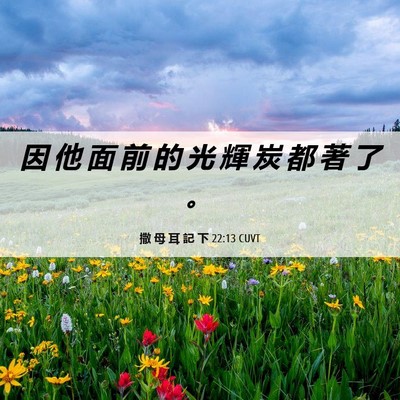 Picture 06 - 撒 母 耳 記 下 22:13 CUVT - 因 他 面 前 的 光 輝 炭 都 著 了 - Bible Verse Picture