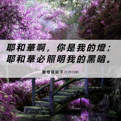 Picture 06 - 撒 母 耳 記 下 22:29 CUVT - 耶 和 華 啊 ， 你 是 我 的 燈 ； 耶 - Bible Verse Picture