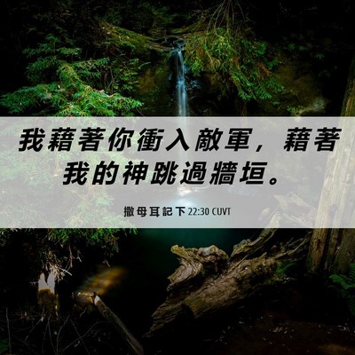 Picture 06 - 撒 母 耳 記 下 22:30 CUVT - 我 藉 著 你 衝 入 敵 軍 ， 藉 著 我 - Bible Verse Picture