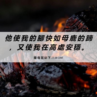 Picture 06 - 撒 母 耳 記 下 22:34 CUVT - 他 使 我 的 腳 快 如 母 鹿 的 蹄 ， - Bible Verse Picture