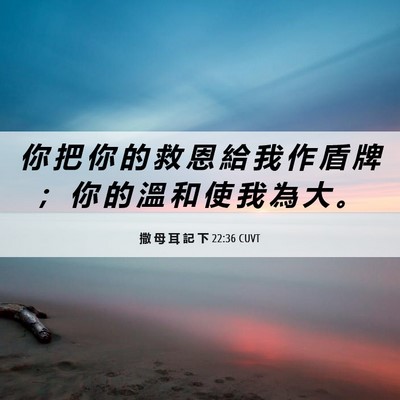 Picture 06 - 撒 母 耳 記 下 22:36 CUVT - 你 把 你 的 救 恩 給 我 作 盾 牌 ； - Bible Verse Picture