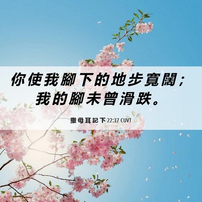 Picture 06 - 撒 母 耳 記 下 22:37 CUVT - 你 使 我 腳 下 的 地 步 寬 闊 ； 我 - Bible Verse Picture