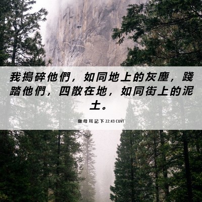 Picture 06 - 撒 母 耳 記 下 22:43 CUVT - 我 搗 碎 他 們 ， 如 同 地 上 的 灰 - Bible Verse Picture