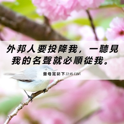 Picture 06 - 撒 母 耳 記 下 22:45 CUVT - 外 邦 人 要 投 降 我 ， 一 聽 見 我 - Bible Verse Picture