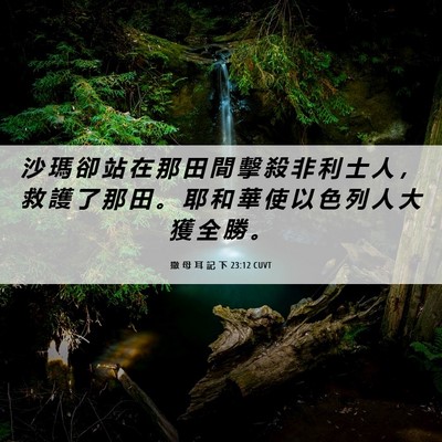 Picture 06 - 撒 母 耳 記 下 23:12 CUVT - 沙 瑪 卻 站 在 那 田 間 擊 殺 非 利 - Bible Verse Picture