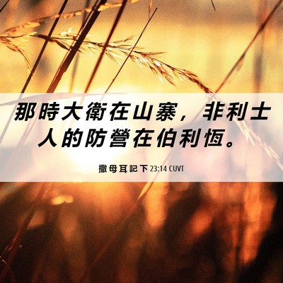 Picture 06 - 撒 母 耳 記 下 23:14 CUVT - 那 時 大 衛 在 山 寨 ， 非 利 士 人 - Bible Verse Picture