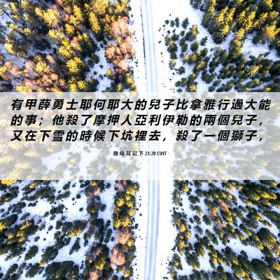 Picture 06 - 撒 母 耳 記 下 23:20 CUVT - 有 甲 薛 勇 士 耶 何 耶 大 的 兒 子 - Bible Verse Picture